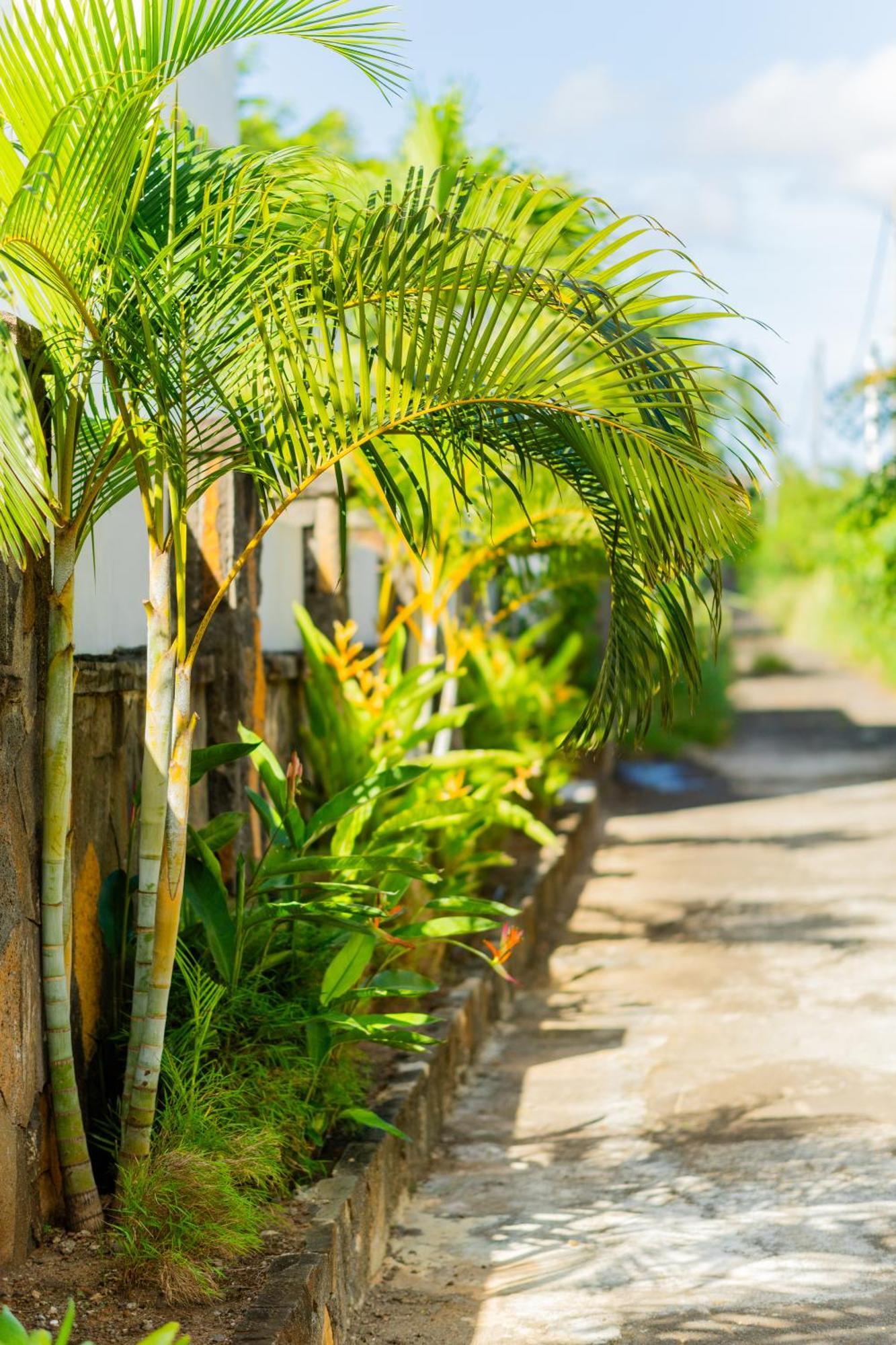 Palm Biche Residence Trou aux Biches Exterior photo